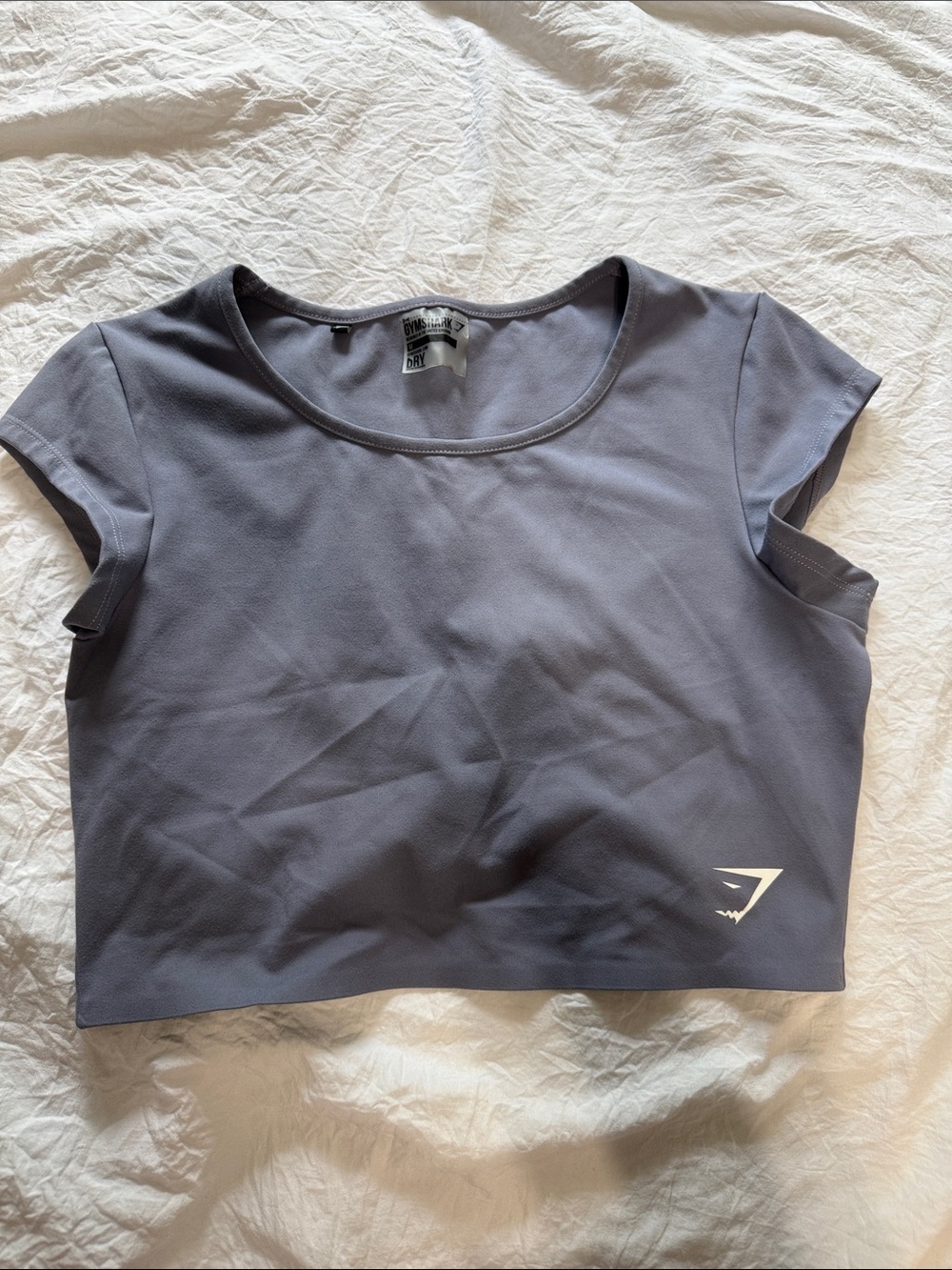Gymshark Slate Cropped Athletic Tee in Gray-Blue